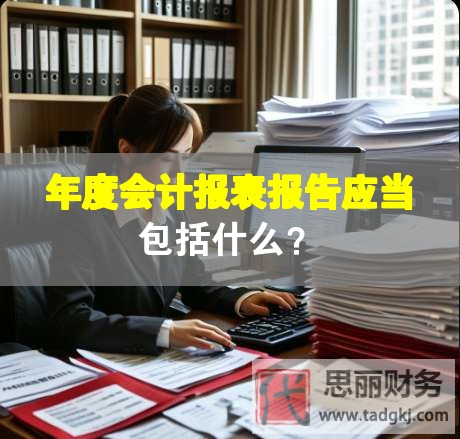 年度會計報表報告應(yīng)當(dāng)包括什么？