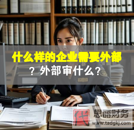什么樣的企業(yè)需要外部？外部審什么？