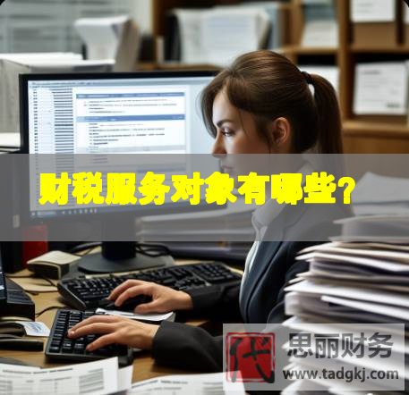 財(cái)稅服務(wù)對(duì)象有哪些？