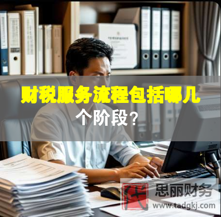 財(cái)稅服務(wù)流程包括哪幾個階段？