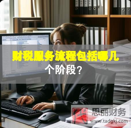 財(cái)稅服務(wù)流程包括哪幾個階段？