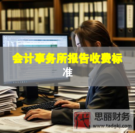 會計(jì)事務(wù)所報告收費(fèi)標(biāo)準(zhǔn)