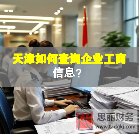天津如何查詢企業(yè)工商信息？