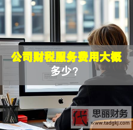 公司財(cái)稅服務(wù)費(fèi)用大概多少？
