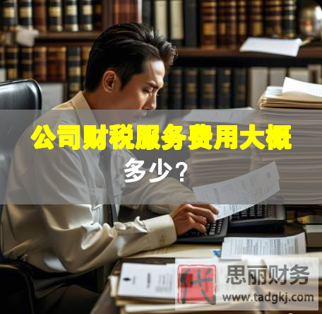 公司財(cái)稅服務(wù)費(fèi)用大概多少？