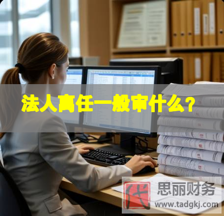 法人離任一般審什么？