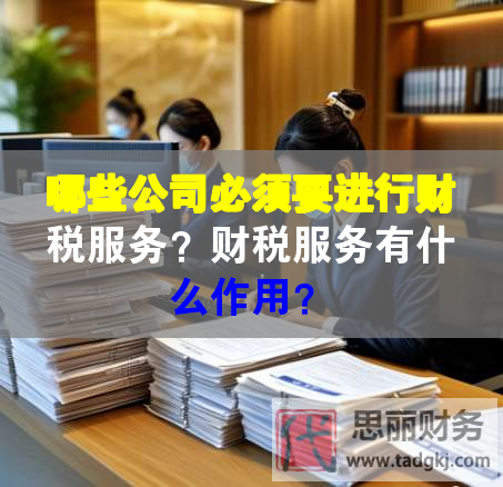 哪些公司必須要進行財稅服務(wù)？財稅服務(wù)有什么作用？