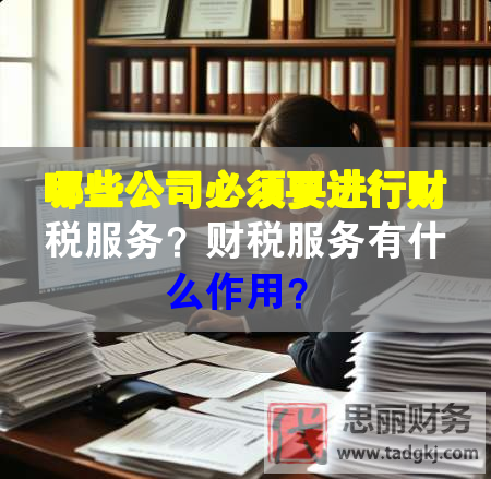 哪些公司必須要進行財稅服務(wù)？財稅服務(wù)有什么作用？