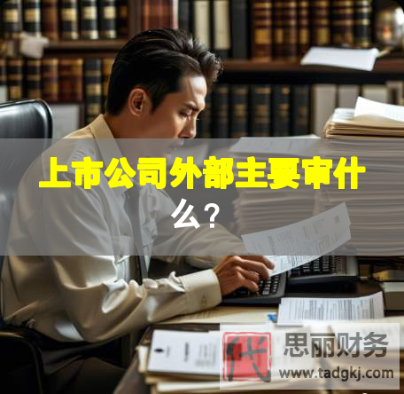 上市公司外部主要審什么？