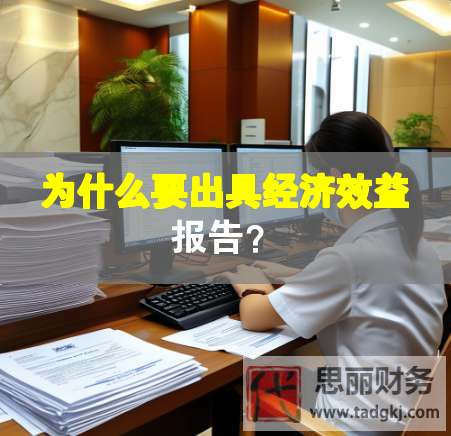 為什么要出具經(jīng)濟(jì)效益報(bào)告？