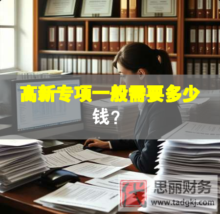 高新專項一般需要多少錢？