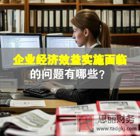 企業(yè)經(jīng)濟(jì)效益實(shí)施面臨的問題有哪些？