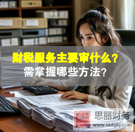 財(cái)稅服務(wù)主要審什么？需掌握哪些方法？