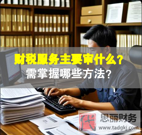財(cái)稅服務(wù)主要審什么？需掌握哪些方法？
