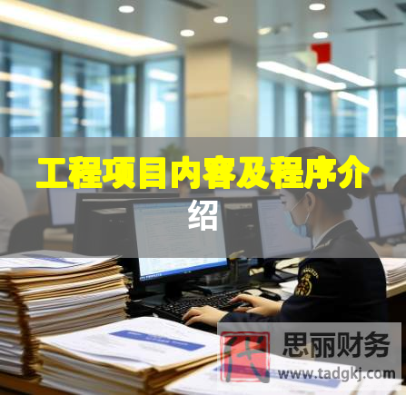 工程項(xiàng)目?jī)?nèi)容及程序介紹