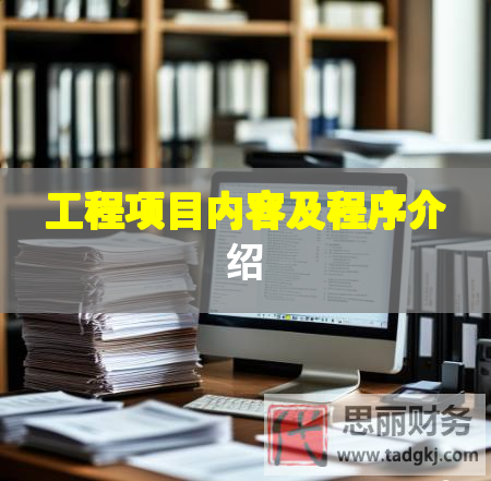 工程項(xiàng)目?jī)?nèi)容及程序介紹