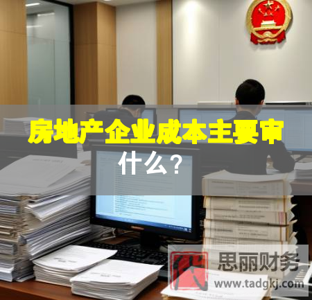 房地產企業(yè)成本主要審什么？