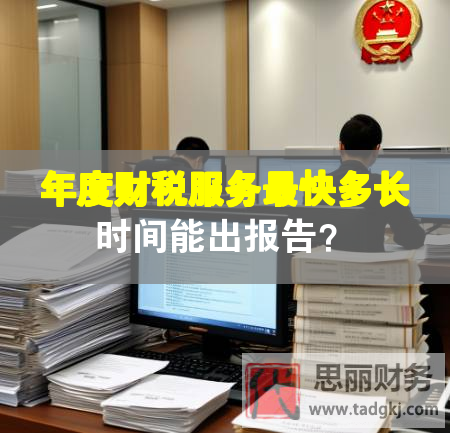年度財稅服務(wù)最快多長時間能出報告？